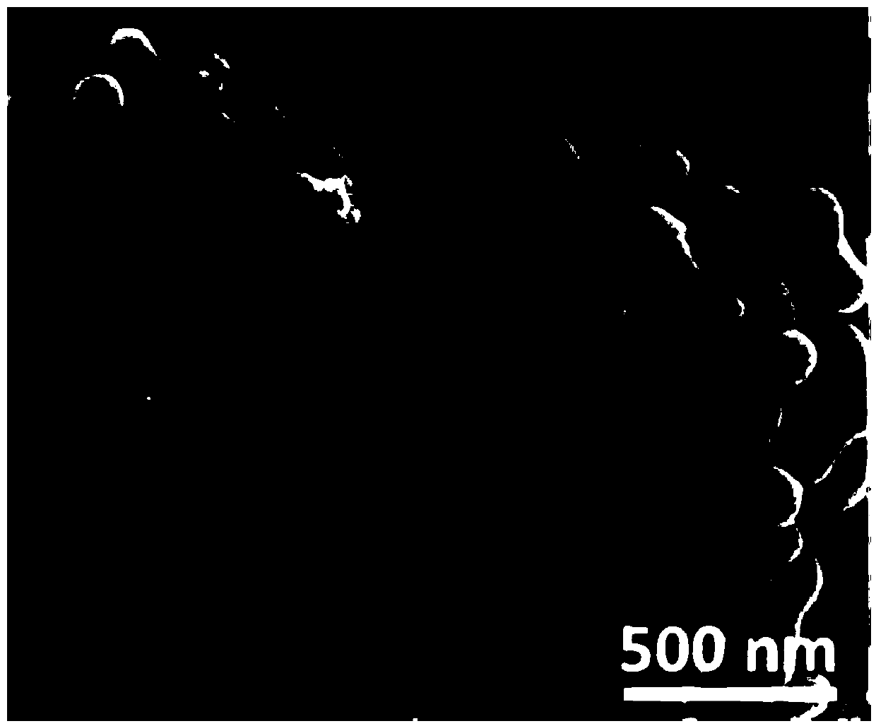 Carbon nitride nanoparticle modified bismuth vanadate composite photocatalyst and preparation method thereof