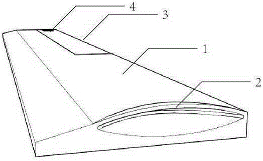 Novel multifunctional ruler