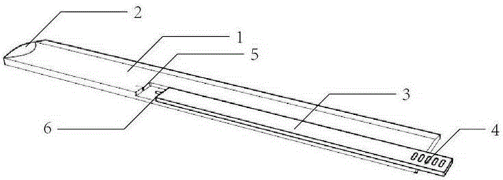 Novel multifunctional ruler