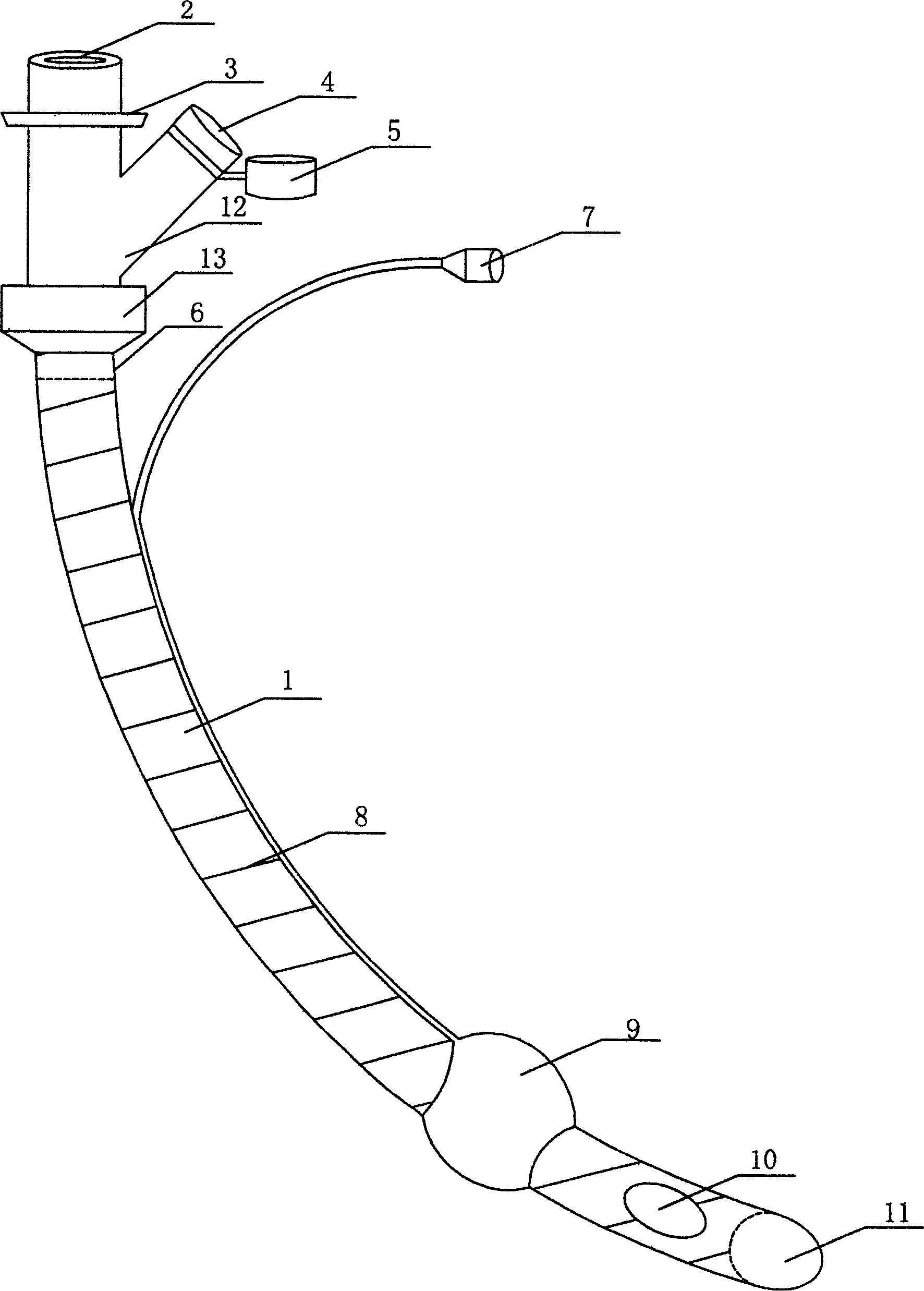 Novel tracheal catheter