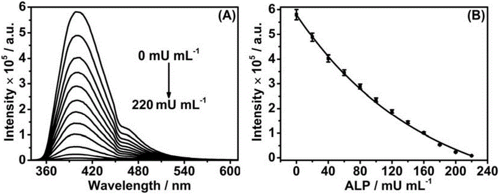 Fluorescence detection method for hydrolase activity