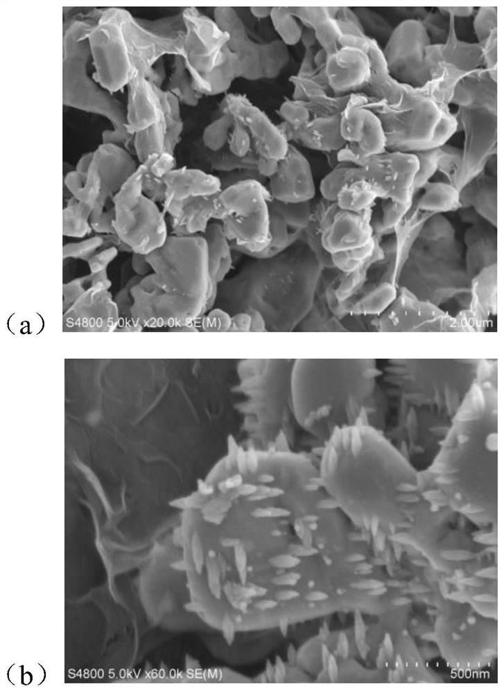 Bismuth vanadate@silver phosphate/graphene oxide composite photocatalyst as well as preparation method and application thereof