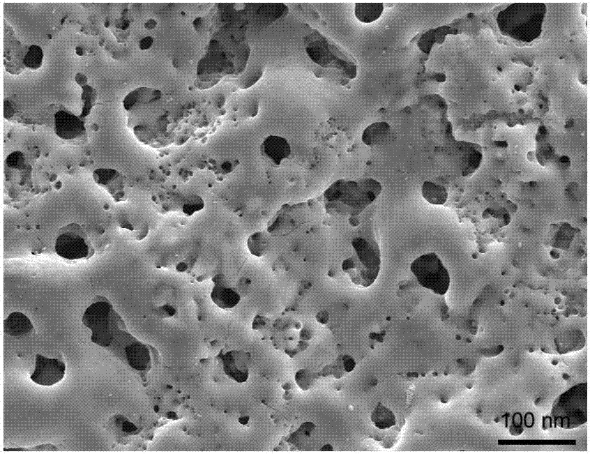 Preparation method of ferroferric oxide/ titanium dioxide magnetic biological activity coating