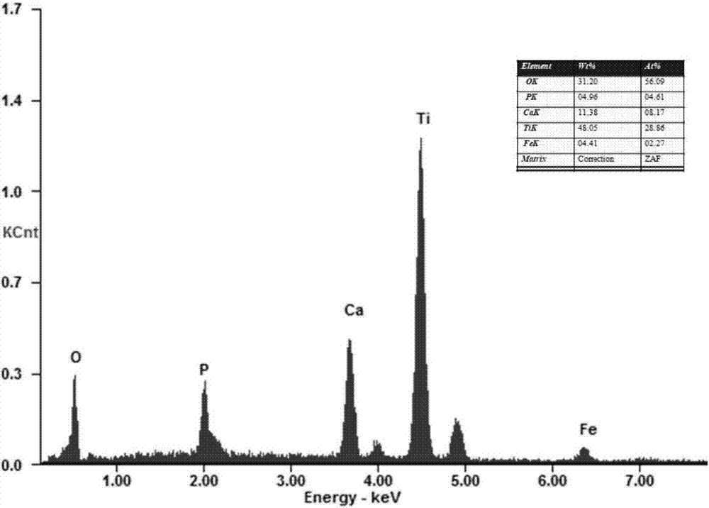 Preparation method of ferroferric oxide/ titanium dioxide magnetic biological activity coating