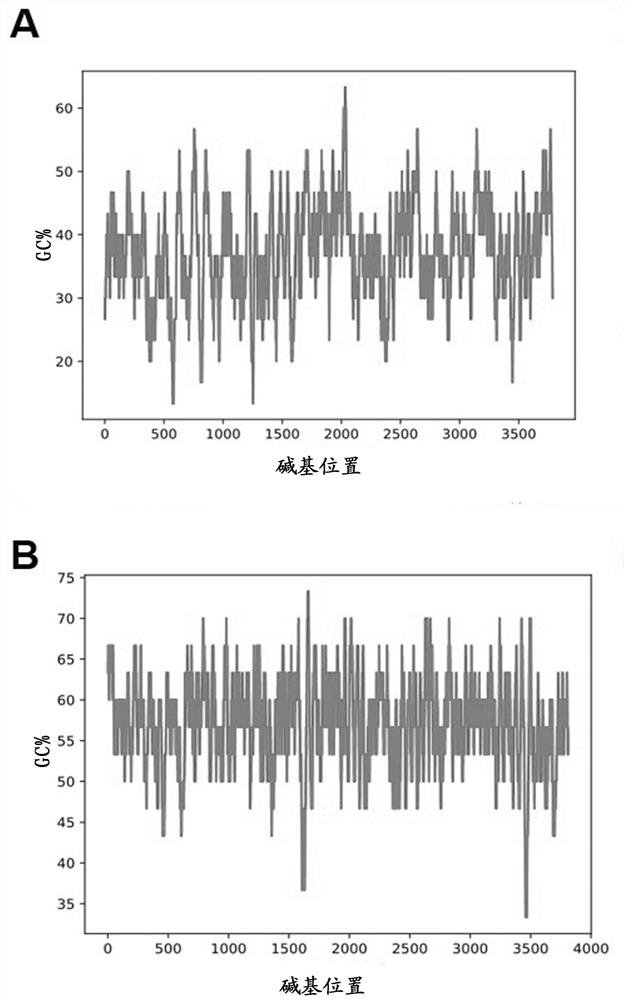 Adenovirus vector recombinant new coronavirus B.1.617.2 variant vaccine and application thereof