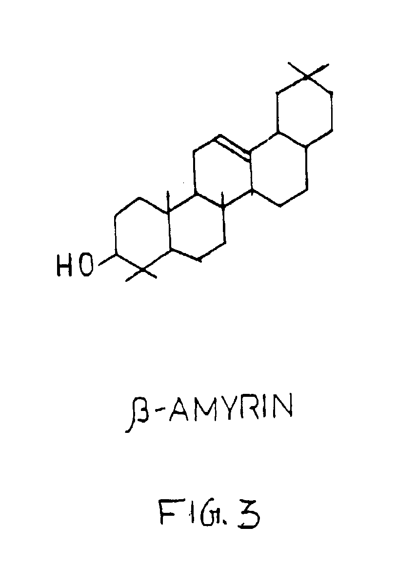 Method for extraction and purification of biologically useful molecules from a mangrove plant Salvadora persica L