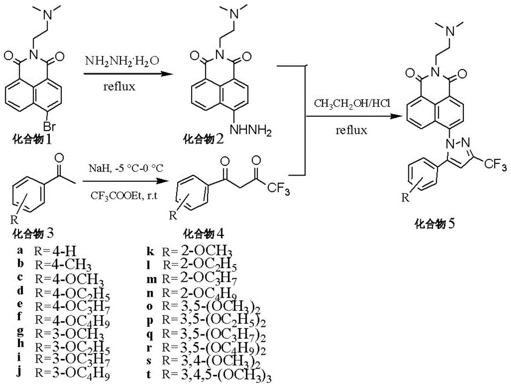 Naphthalimide-containing celecoxib derivatives with anti-tumor activity targeting DNA, pharmaceutical composition, preparation method and application thereof