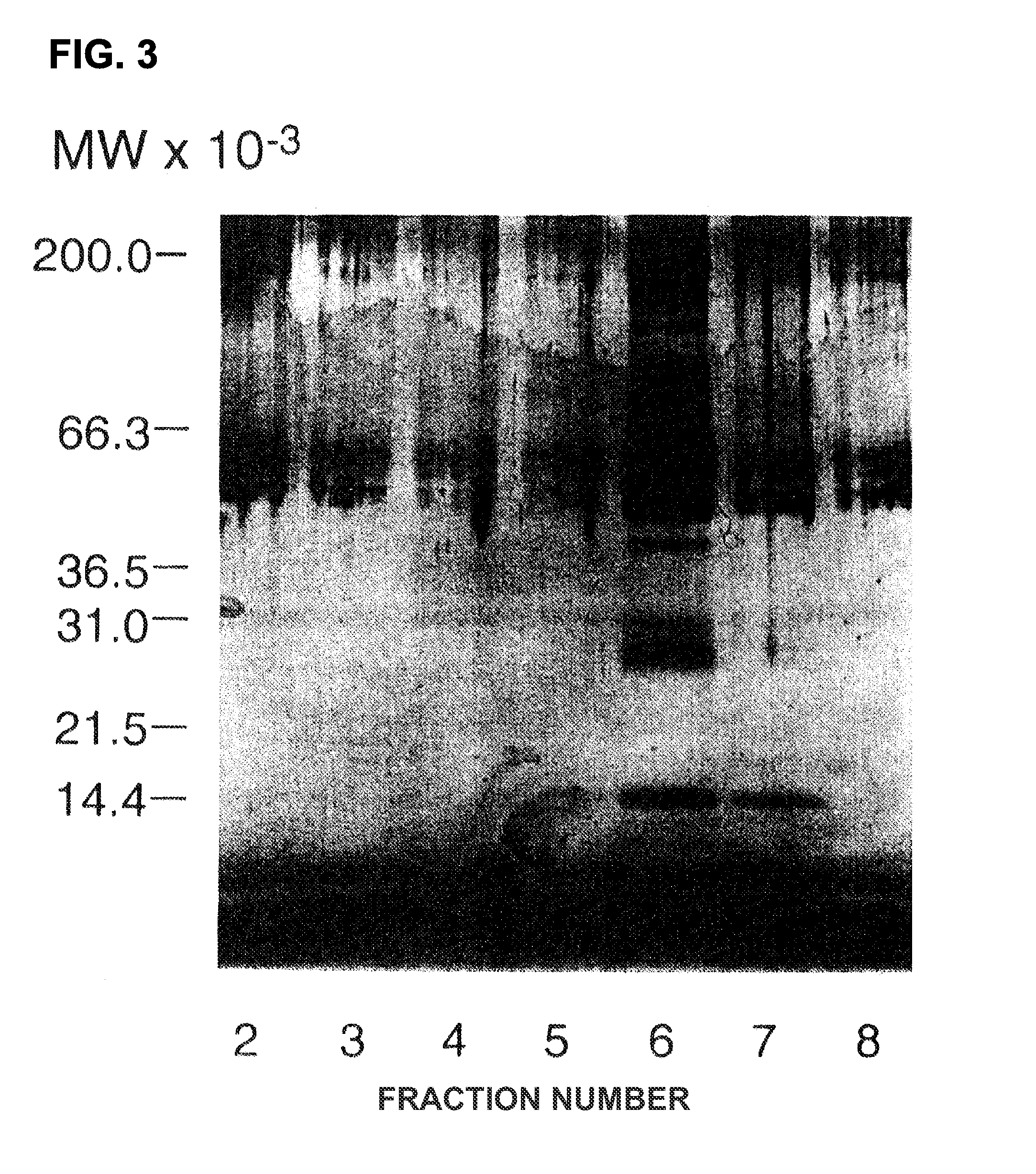 Mpl ligand