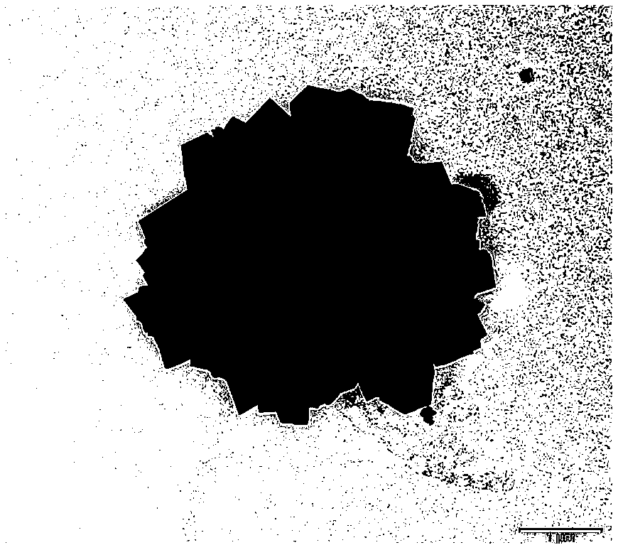 Hollow hydroxyapatite microspheres with controllable pore size, preparation method and application thereof