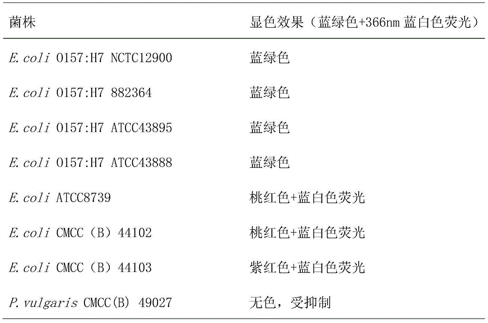 Chromogenic medium used for detecting escherichia coli O157:H7