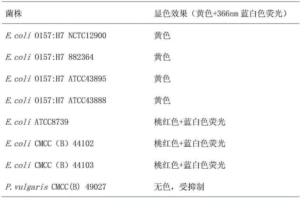 Chromogenic medium used for detecting escherichia coli O157:H7