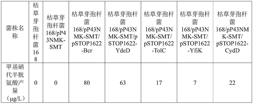 Method for synthesizing methyl selenocysteine by using bacillus subtilis