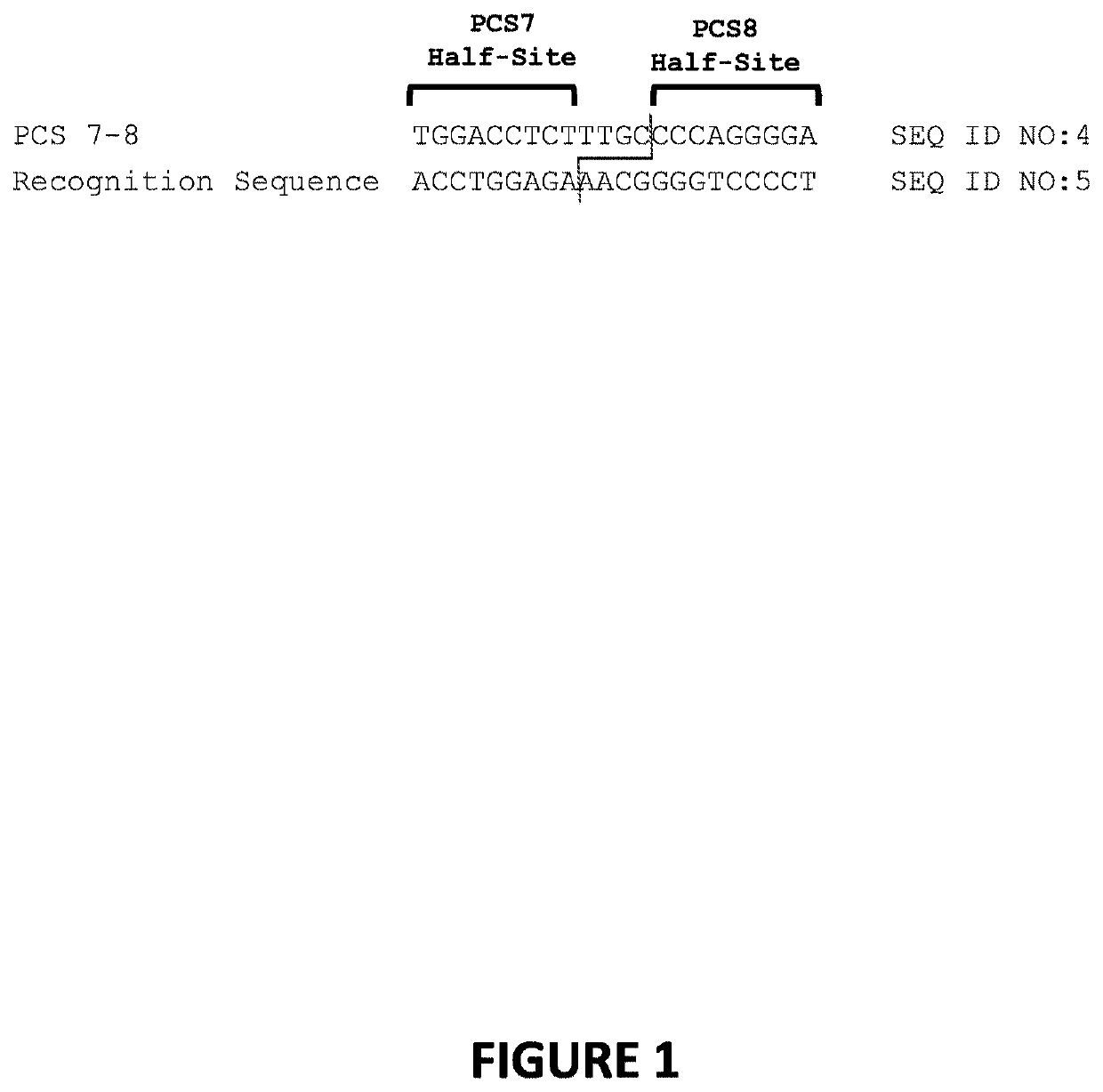 Engineered meganucleases specific for recognition sequences in the pcsk9 gene