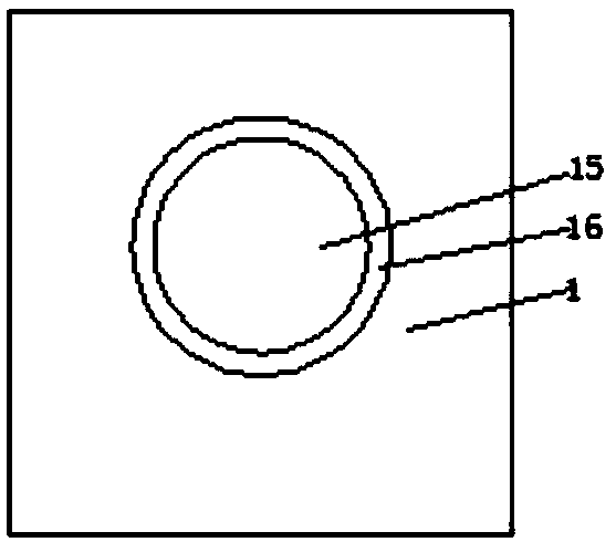 Clay blank plasticizing device for ceramic processing