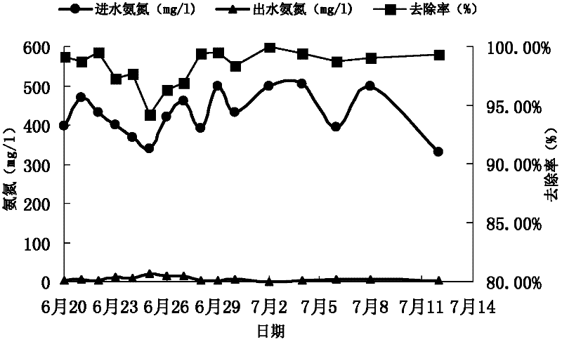 Device and method for treating ammonia nitrogen wastewater by using dioxygen biological filler