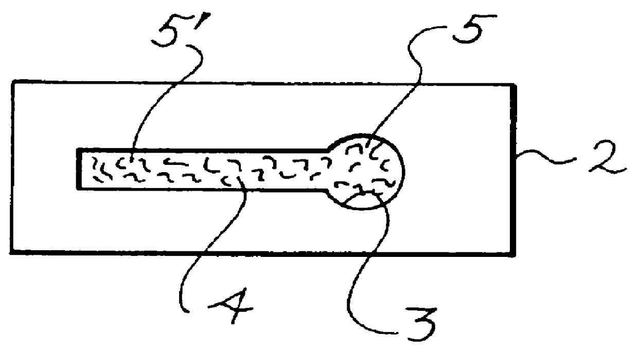 Method for correcting for blood volume in a serum analyte determination