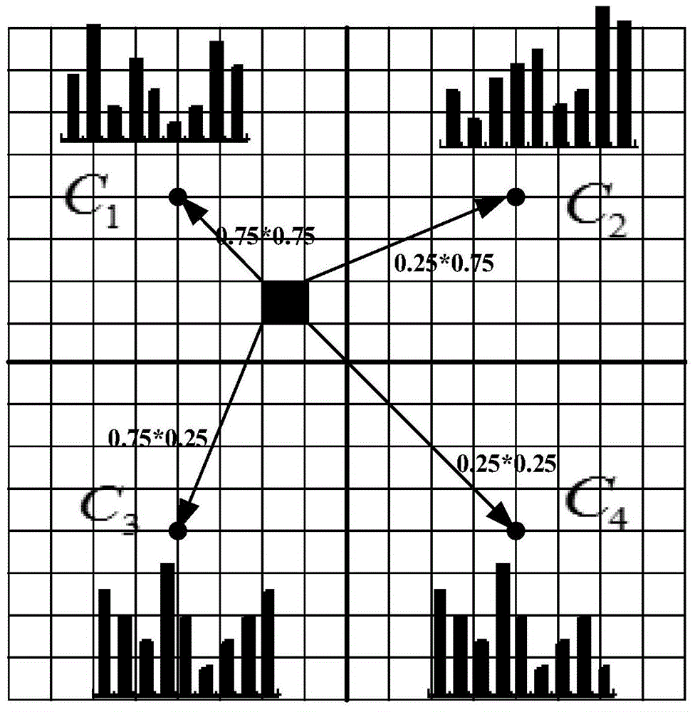 HOG (Histograms of Oriented Gradients) type quick feature extracting method