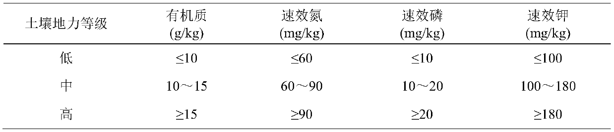 Special fertilizer for open-field muskmelons and application method