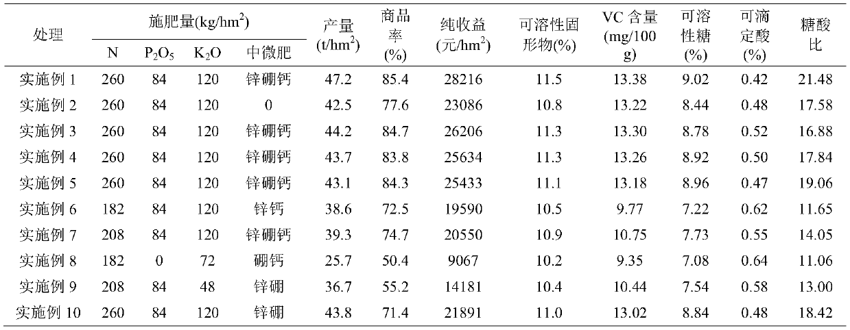 Special fertilizer for open-field muskmelons and application method