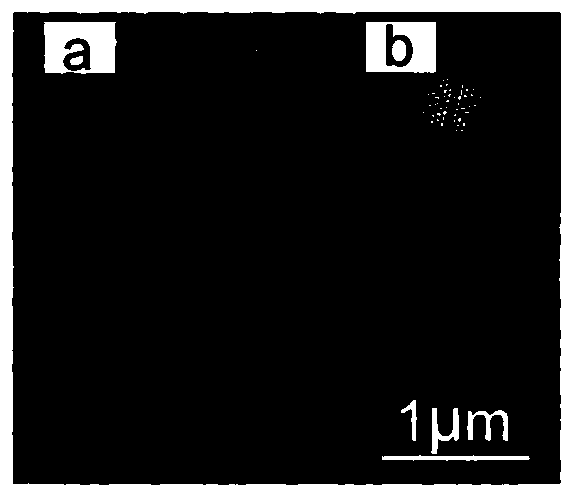 Thermal response photonic crystal with color swatch function based on thermochromic system and preparation method of thermal response photonic crystal