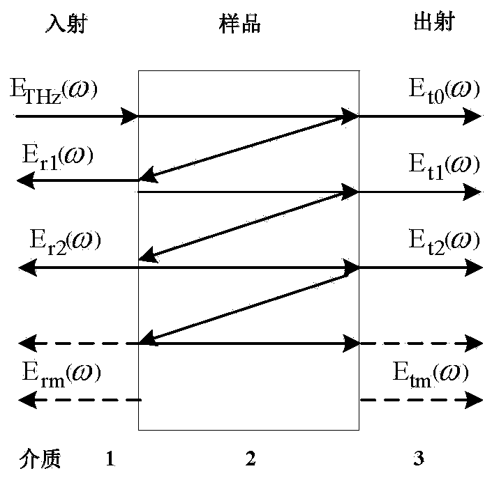 Nondestructive detection method for rubber composite material based on terahertz time-domain spectral imaging