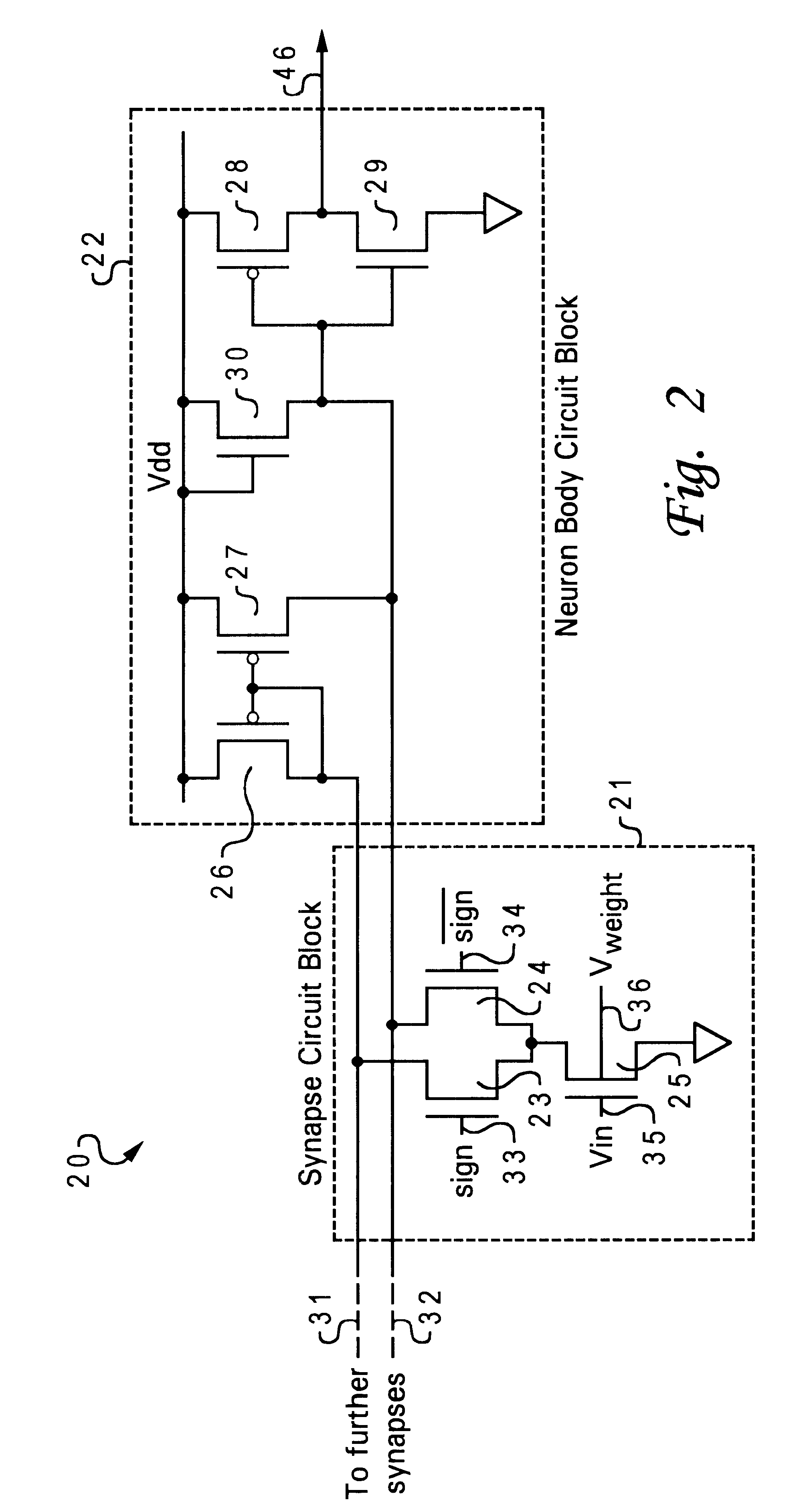 Neuron circuit