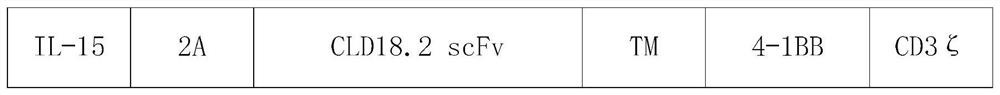 Engineered immune cell with adjustable target gene as well as preparation method and application of engineered immune cell