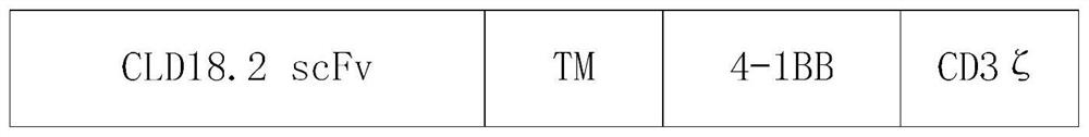 Engineered immune cell with adjustable target gene as well as preparation method and application of engineered immune cell