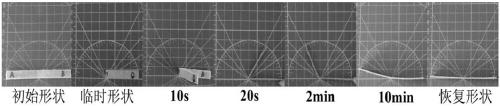 3D printing plant fiber composite wire with shape memory function and preparation method of 3D printing plant fiber composite wire