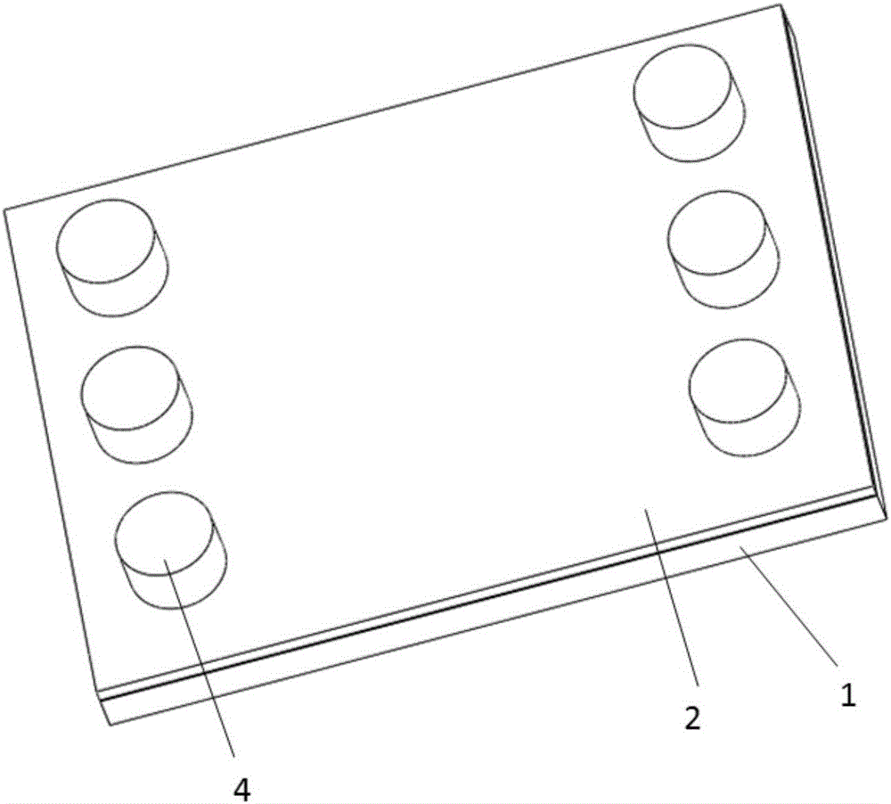 Tissue critical plane model constructing method and three-dimensional culture cell micro-fluidic chip