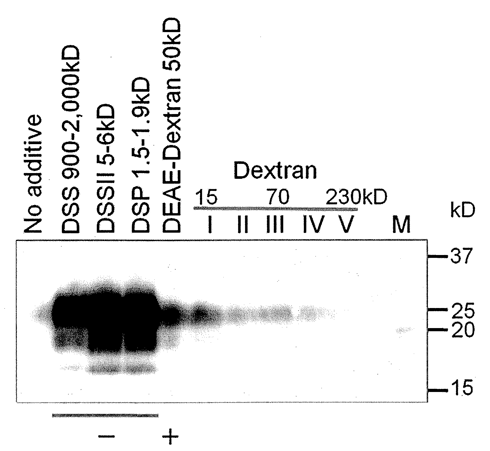 Method for efficiently  amplifying abnormal prion protein derived from bse