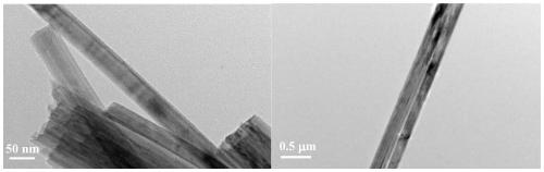 A method for preparing sodium niobate nanowires by cation exchange