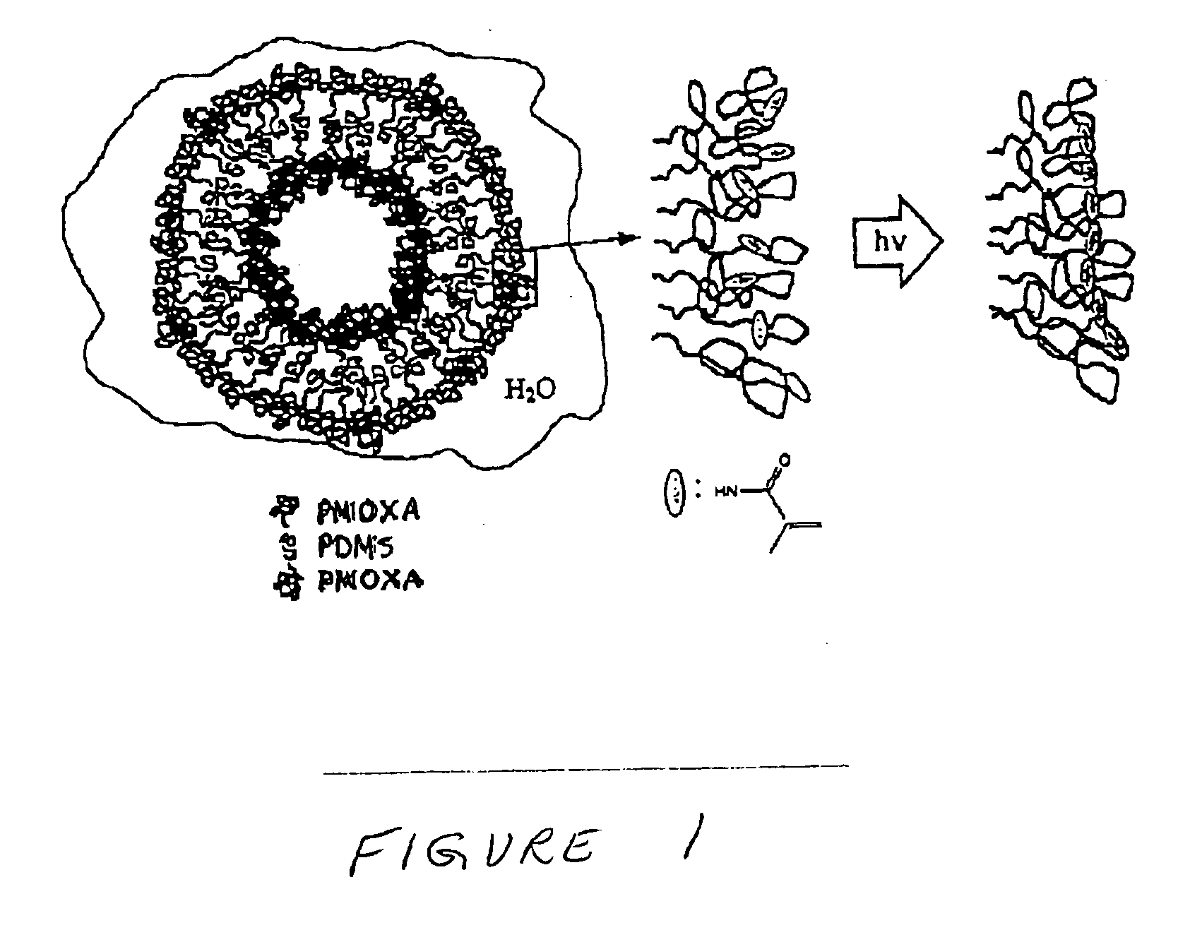 Amphiphilic polymeric vesicles