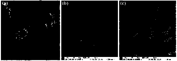 Dispersible graphene nano-composite particle, and preparation method and application thereof