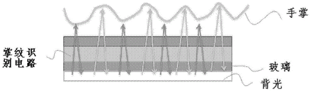 Palmprint recognition circuit based on LTPS technology and palmprint recognition method thereof and display screen