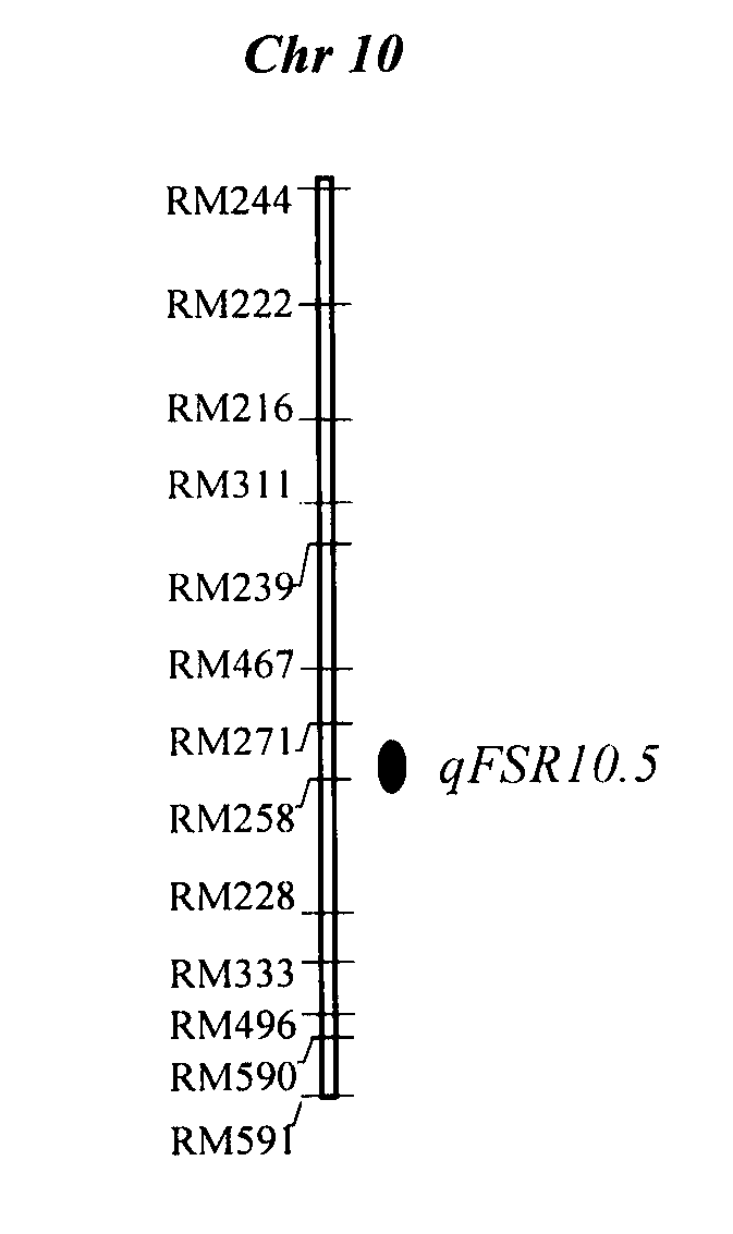 Anti-ustilaginoidea virens major gene and molecular marker thereof