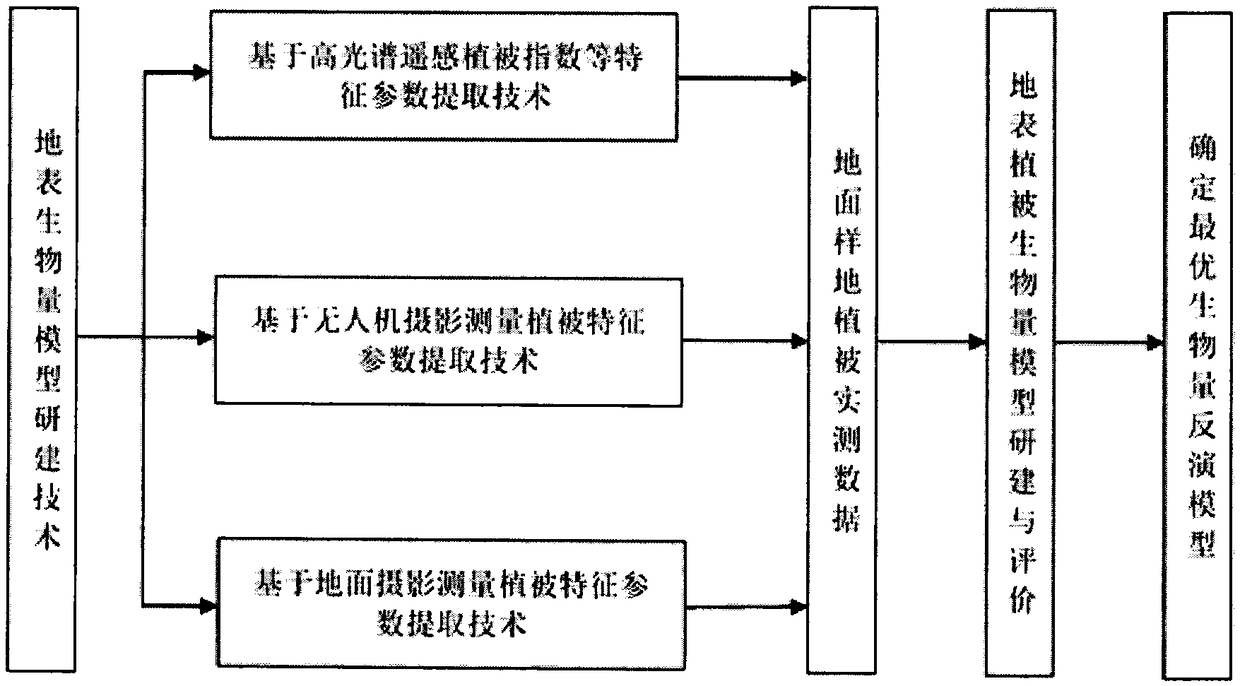 A biomass model research and construction method based on a hyperspectral remote sensing and photogrammetry technology