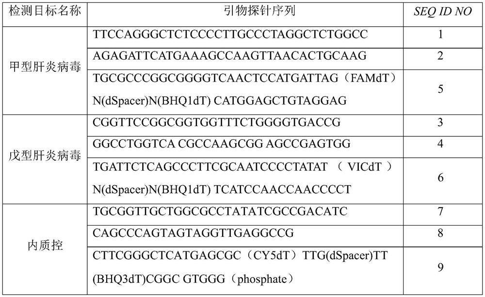 Primers, probes and kits for detection of hepatitis A and hepatitis E virus