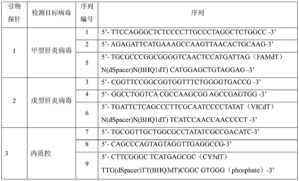 Primers, probes and kits for detection of hepatitis A and hepatitis E virus