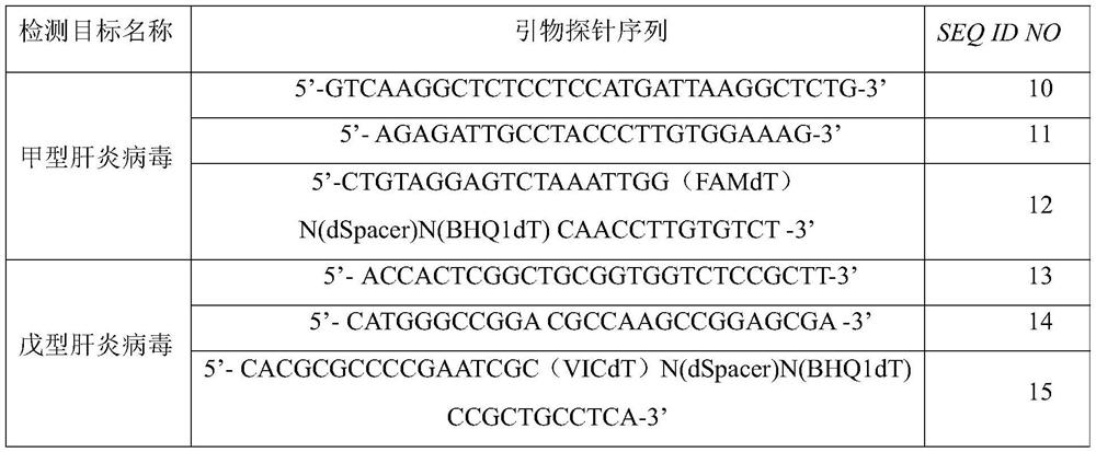 Primers, probes and kits for detection of hepatitis A and hepatitis E virus