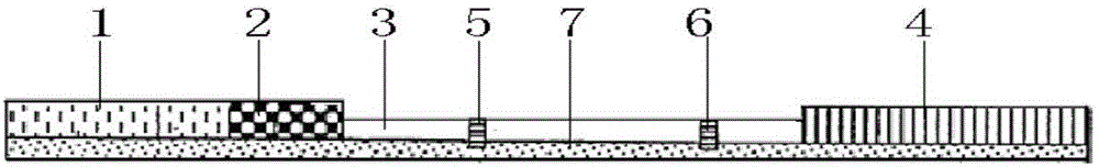 Brucella antibody detecting test strip