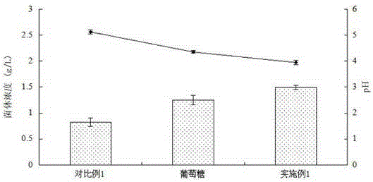 Candied cherry tomatoes and preparation method thereof