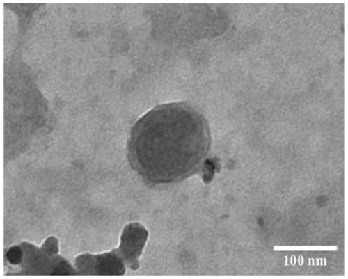 Application of engineered exosome in skin regeneration and repair of diabetic foot ulcer and preparation method of engineered exosome