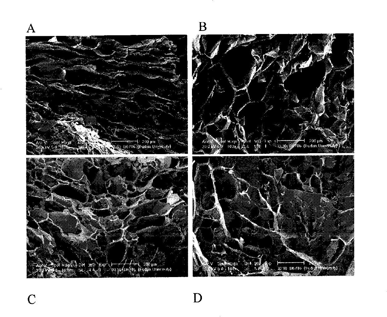 Preparation for treating and restoring infective wound surface and preparation method thereof