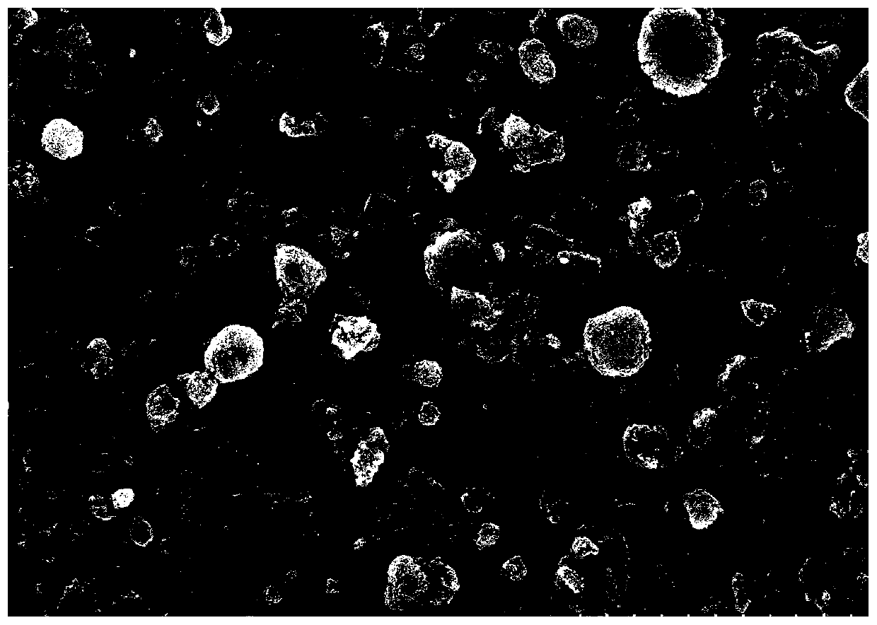 Battery coating film slurry, battery diaphragm, secondary battery and preparation method thereof