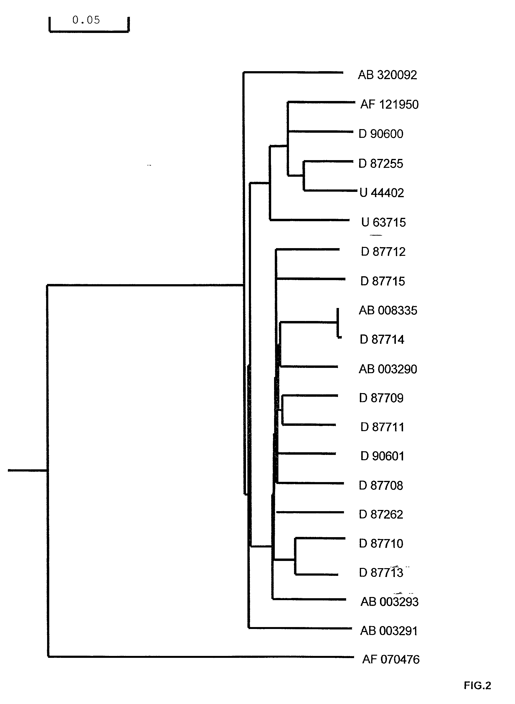 Full-length GB virus C (hepatitis G virus) RNA transcripts are infectious in primary CD4 positive T cells and methods of treating HIV