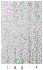 Quality detecting method for traditional Chinese medicine composition for treating hematuresis