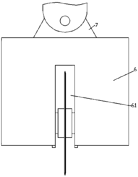 A preparation device for preventing and treating avian influenza