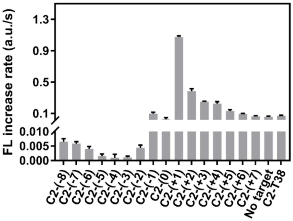 Probe and kit for detecting point mutation of DNA and application