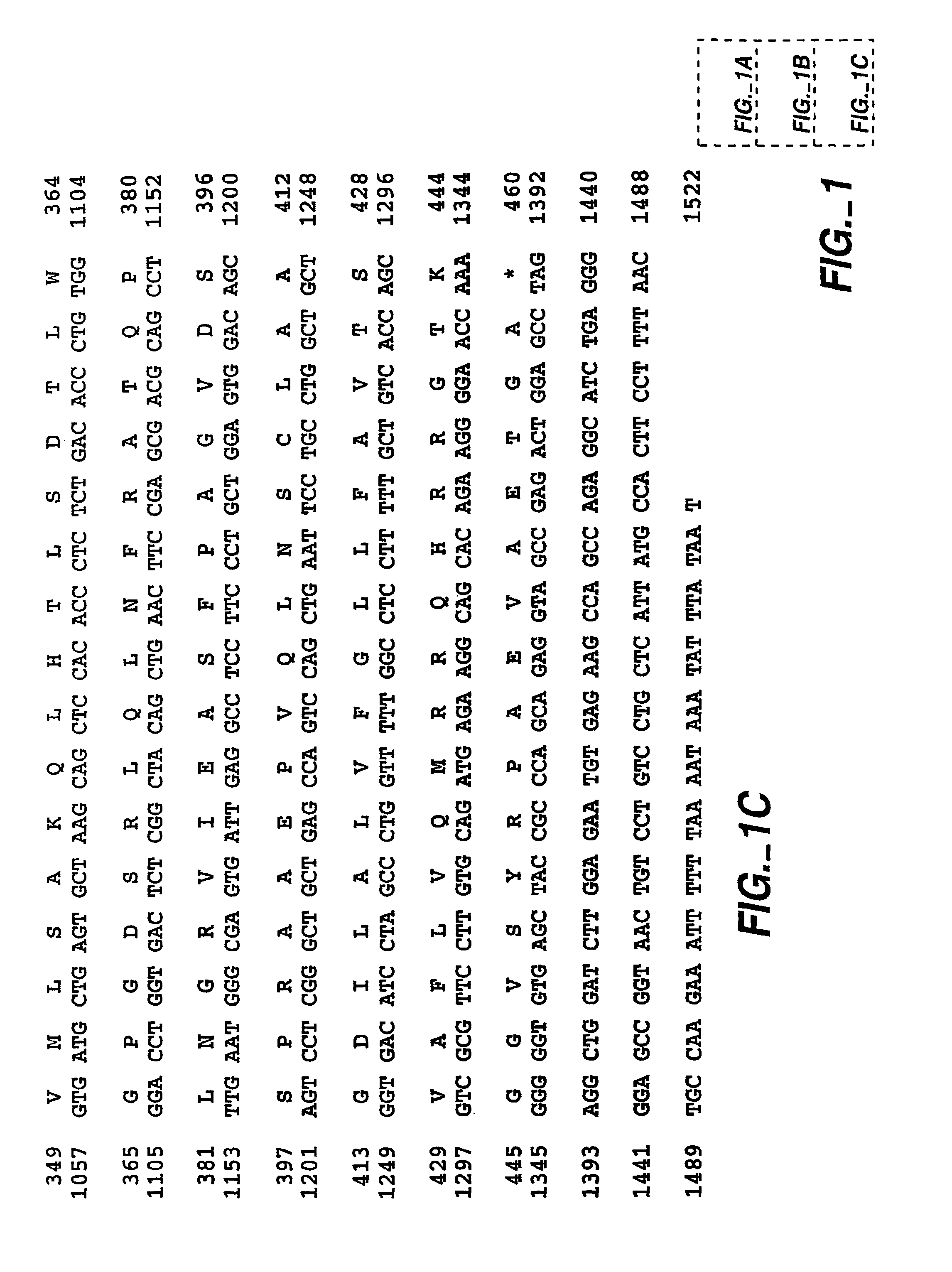 Soluble form of carbonic anhydrase IX (S-CA IX), assays to detect s-CA IX, CA IX'S coexpression with HER-2/NEU/C-ERBB-2, and CA IX-specific monoclonal antibodies to non-immunodominant epitopes